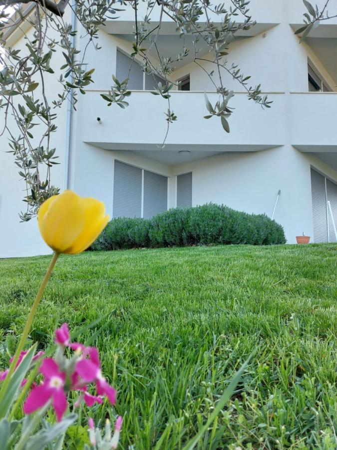 Apartment Fiorella Porec Bagian luar foto
